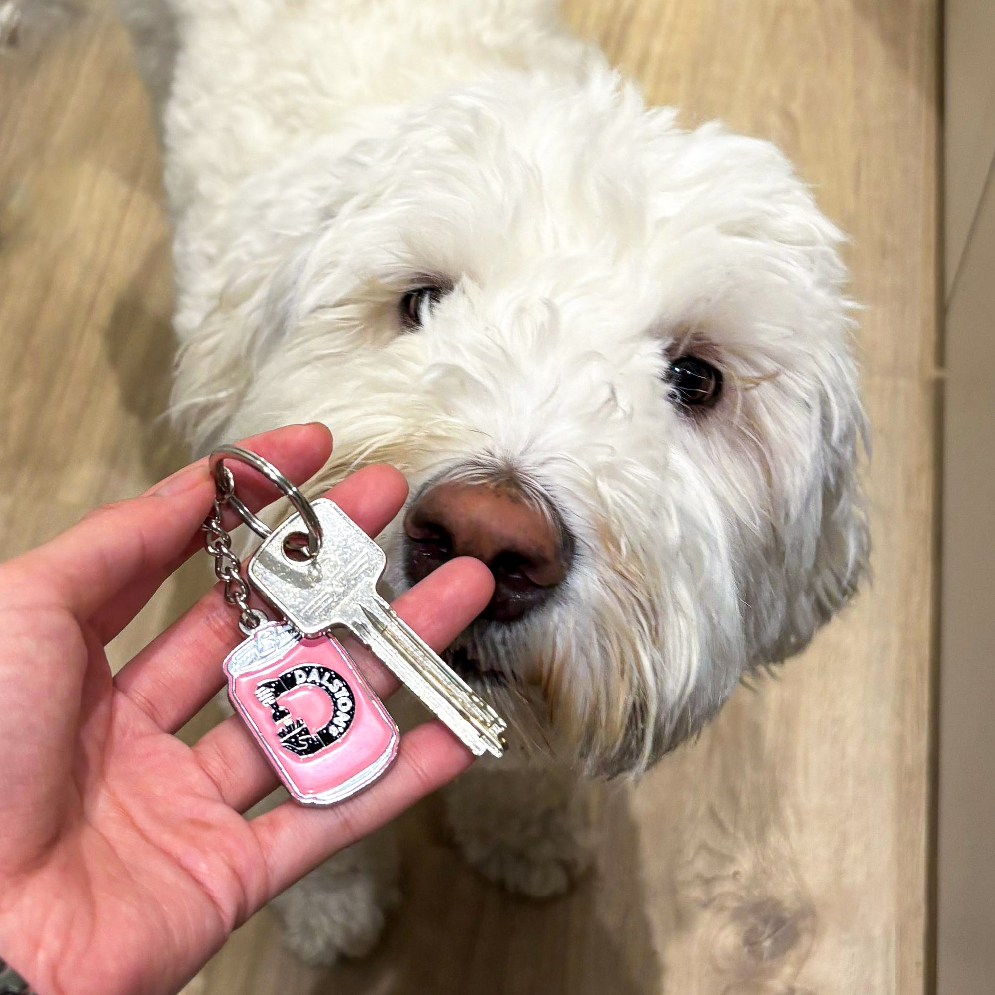 DALSTON'S KEYRING