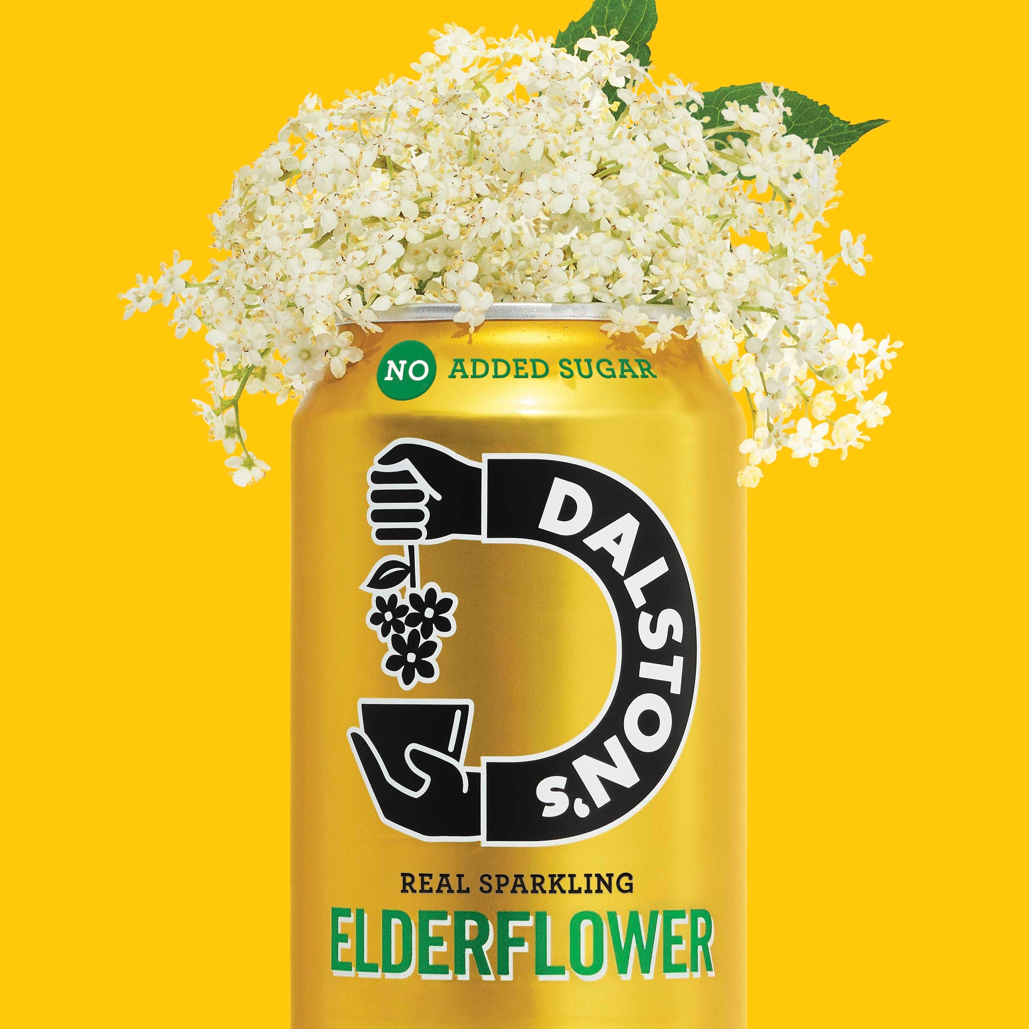 Elderflower