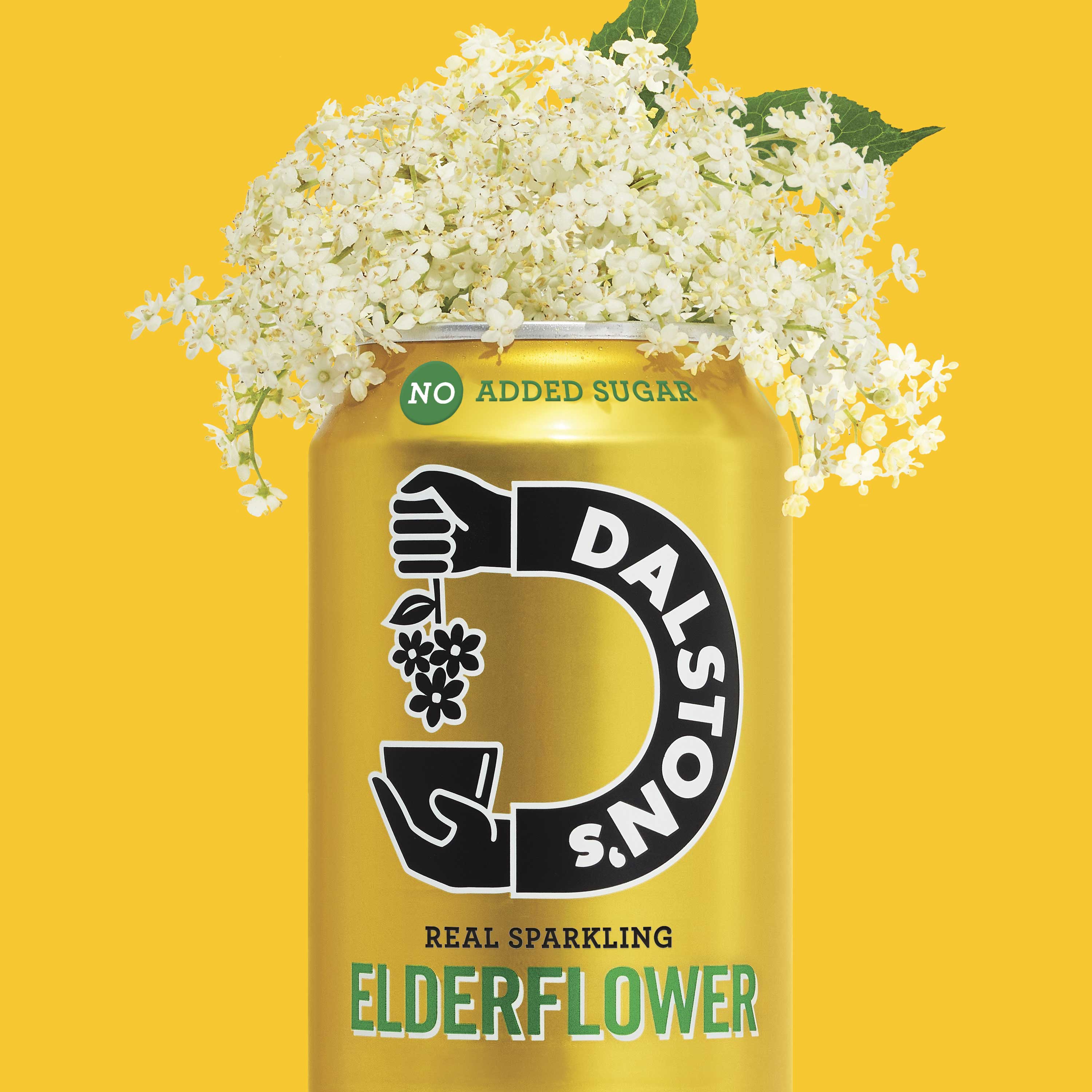 Elderflower