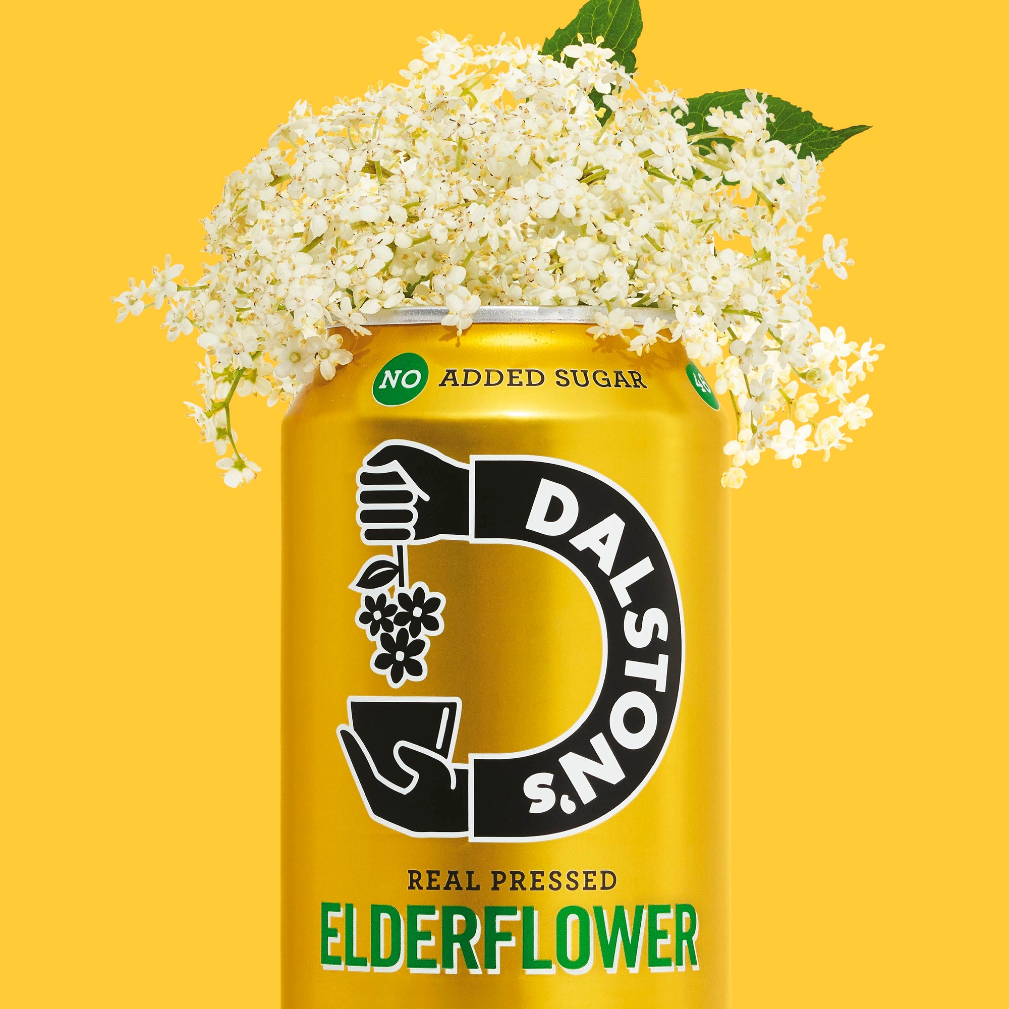 Elderflower